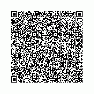 vCard 74987265799