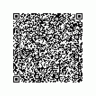 vCard 74987339039