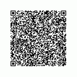 vCard 74987339251