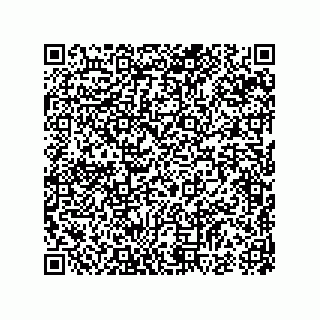 vCard 74987339279