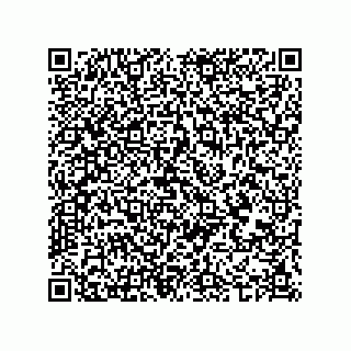 vCard 74987339427