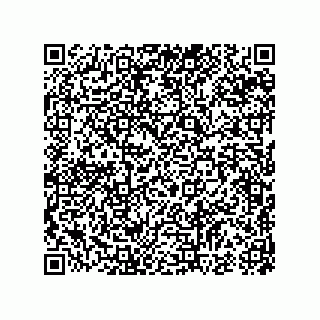 vCard 74987339663