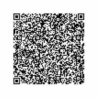 vCard 74987339704