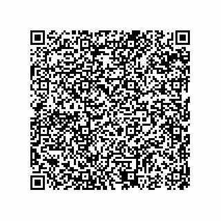 vCard 74987339711