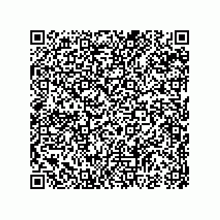 vCard 74987339729