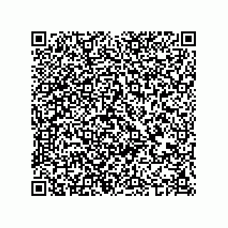 vCard 74987339743
