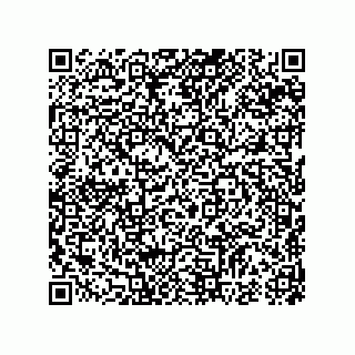 vCard 74987404041