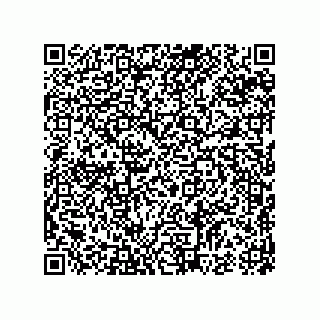 vCard 74987404065