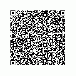 vCard 74987404174