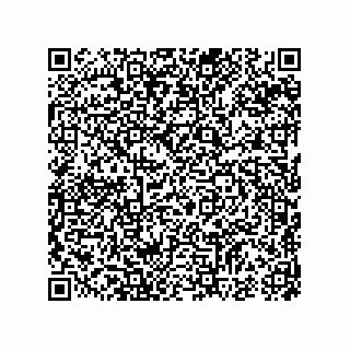 vCard 74987404303