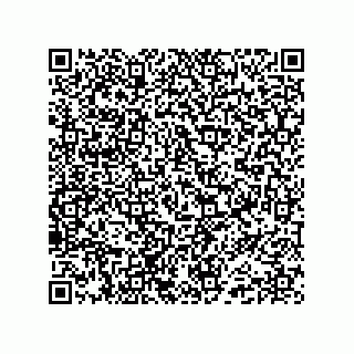 vCard 74989130739