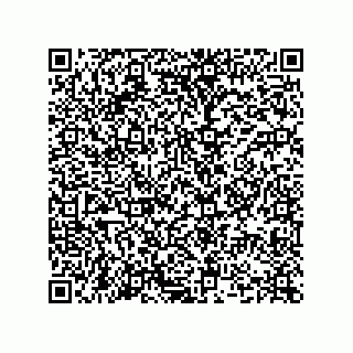 vCard 74989132039