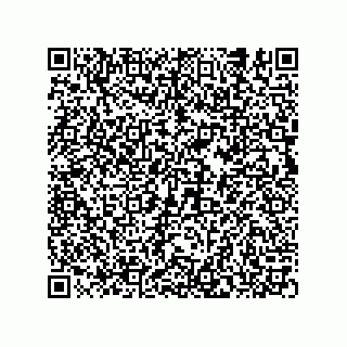 vCard 74989132100