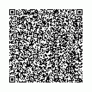 vCard 74989500041