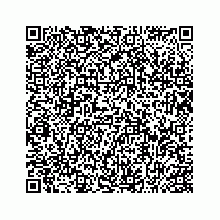 vCard 74989983279