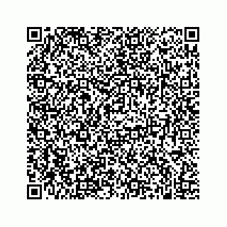 vCard 74989983313