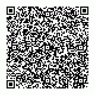 vCard 74992431029