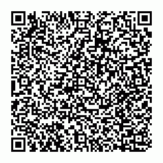 vCard 74992583313