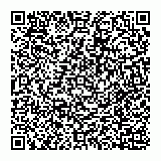 vCard 74992583413