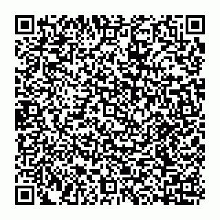 vCard 74992704087