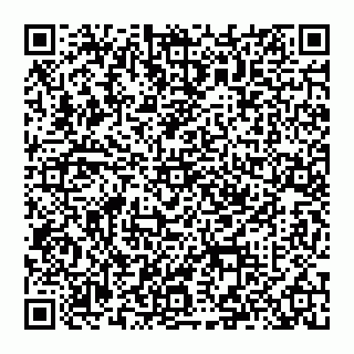 vCard 74992704103