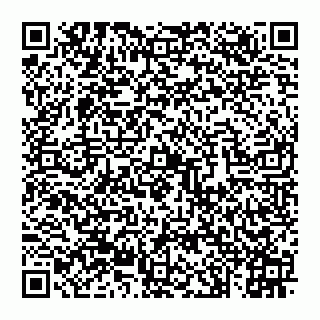 vCard 74992704105