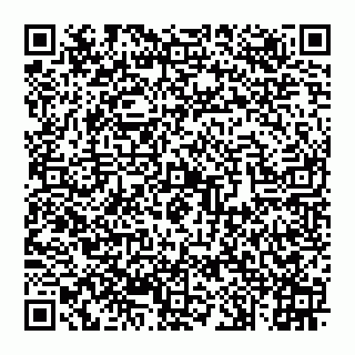 vCard 74992704113