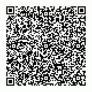 vCard 74992704115
