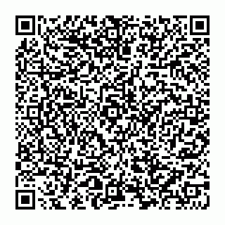 vCard 74992704129