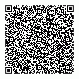 vCard 74992704130