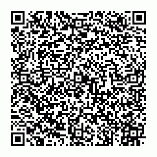 vCard 74992704138