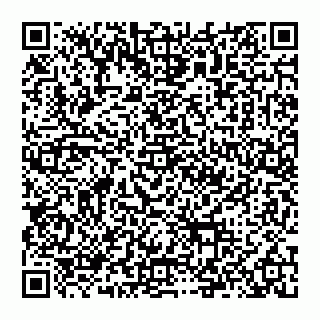vCard 74992704139