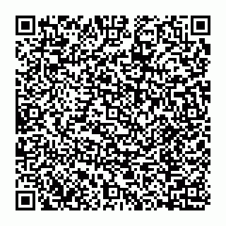 vCard 74992704141