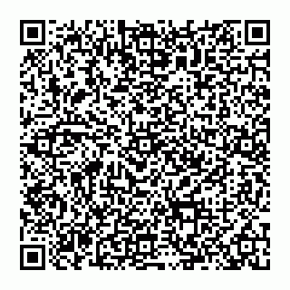 vCard 74992704147