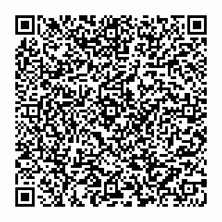 vCard 74992704153
