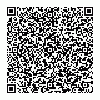 vCard 74992704173