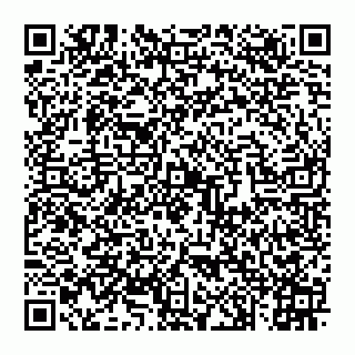 vCard 74992704191