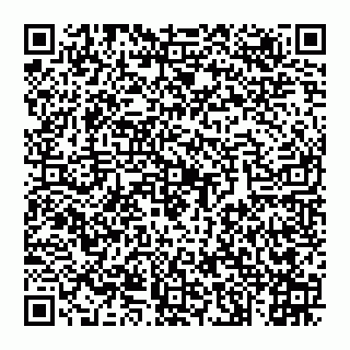 vCard 74992704202