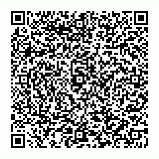 vCard 74992704207