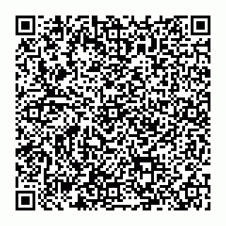vCard 74992704208