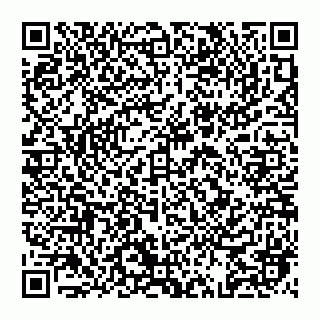 vCard 74992704211