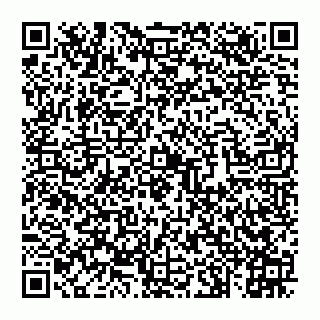 vCard 74992704217