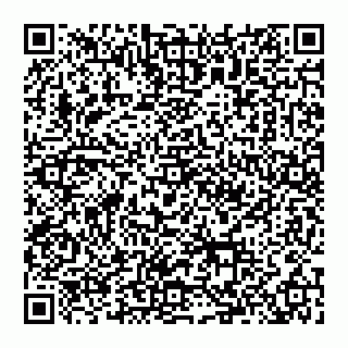 vCard 74992704238
