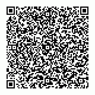 vCard 74992704291