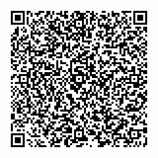 vCard 74992704310