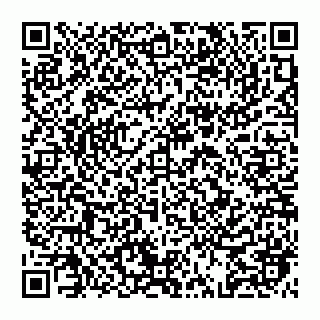 vCard 74992704313