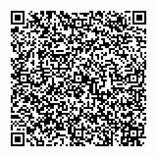 vCard 74992704330