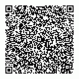 vCard 74992704331