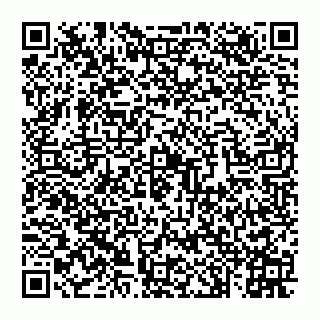 vCard 74992704339