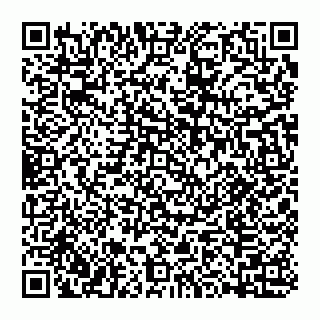 vCard 74992704379